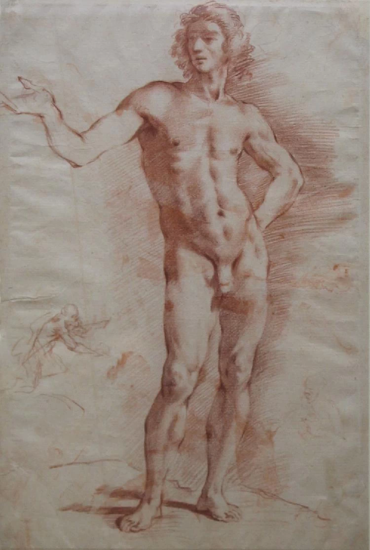 Pier Dandini - 285, Nudo virile, attribuito
